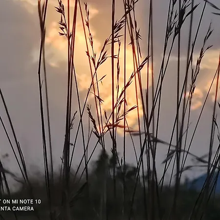 Διαμέρισμα Le D'olympe