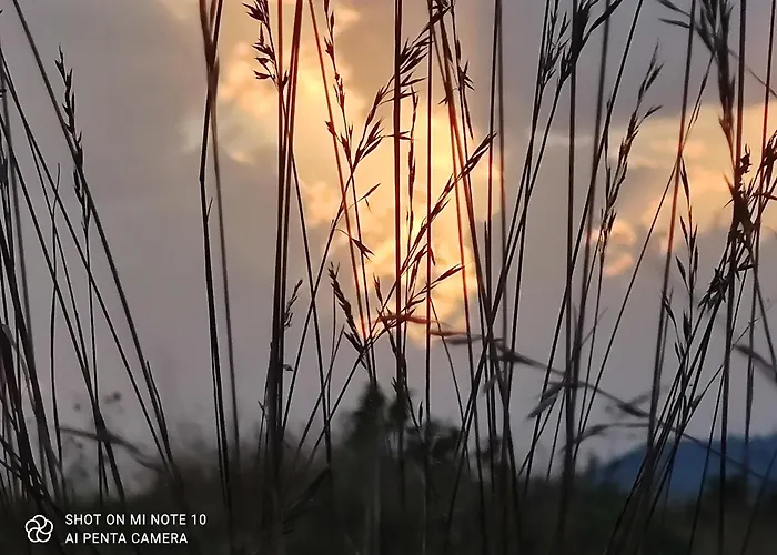 Lejlighed Le D'olympe